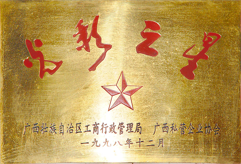 1998广西区‘光彩之星’-1.jpg
