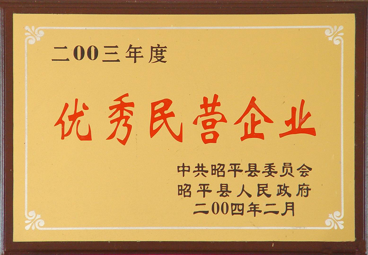 2004优秀民营企业.png