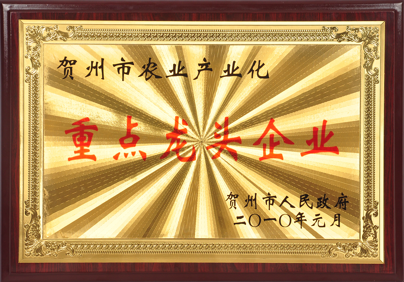 2010贺州市农业产业化重点龙头企业.png