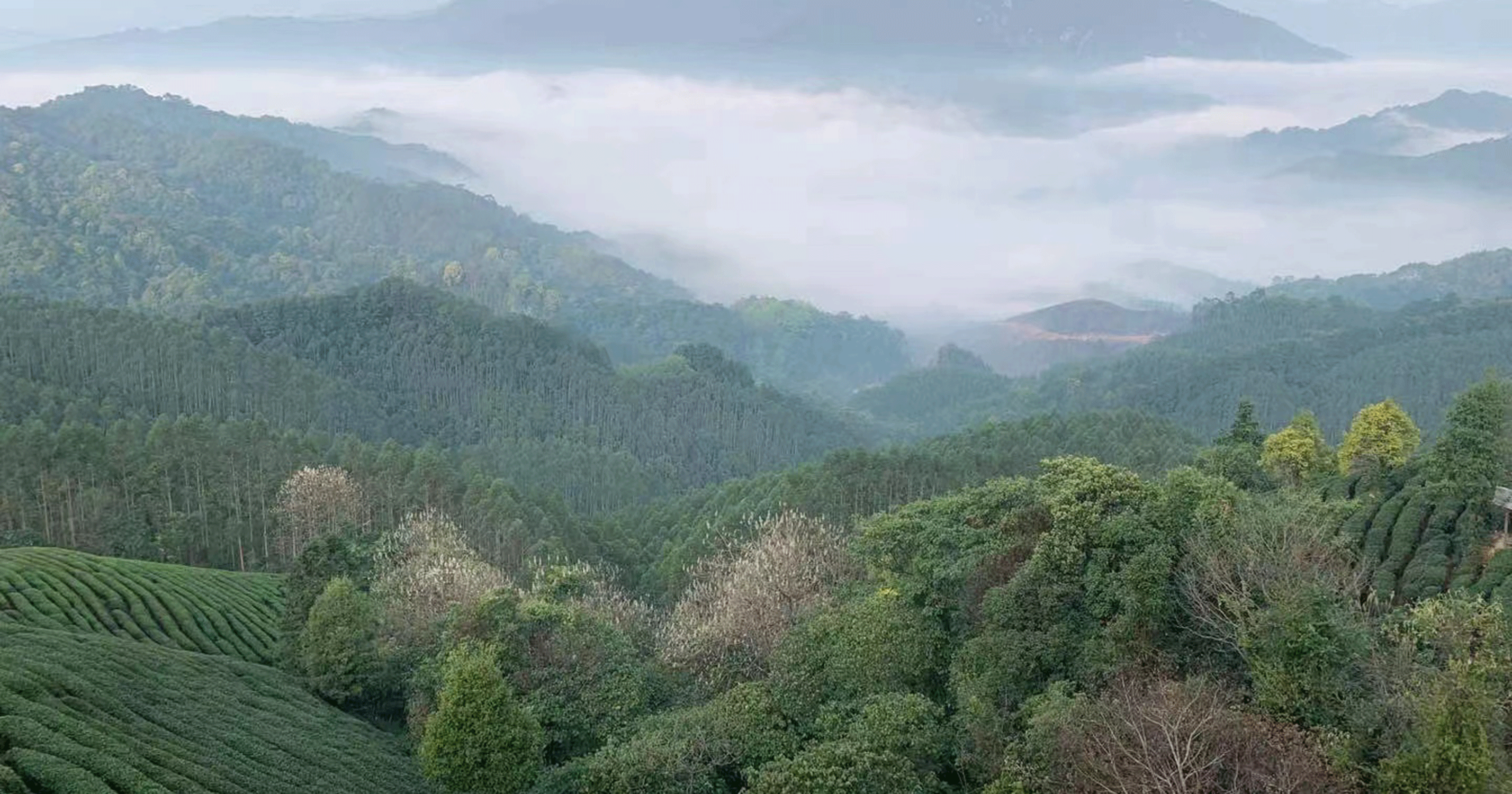 image7 