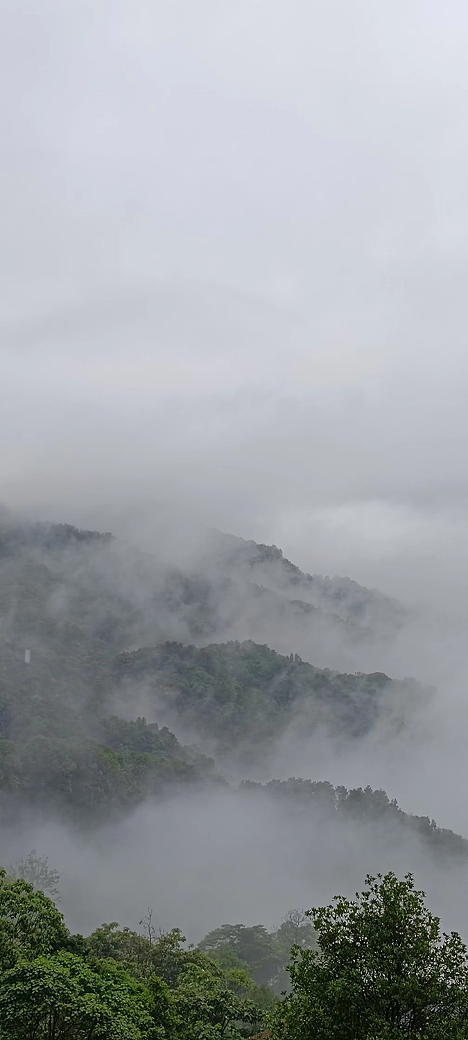 image10 