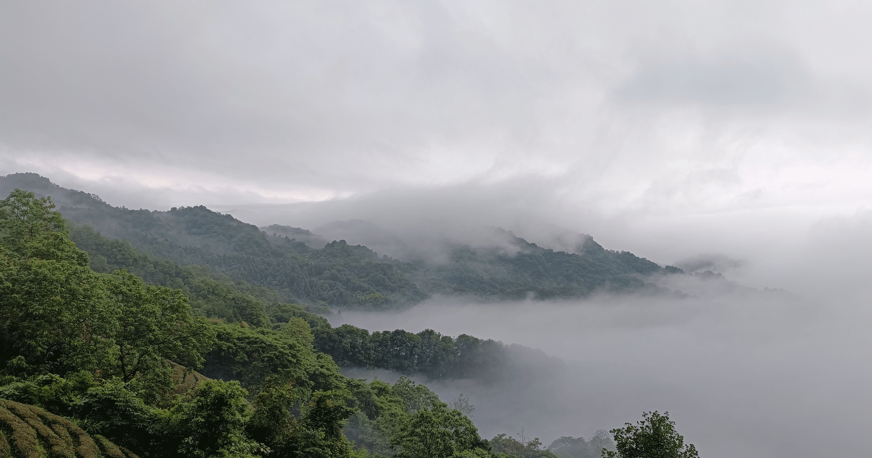 image11 