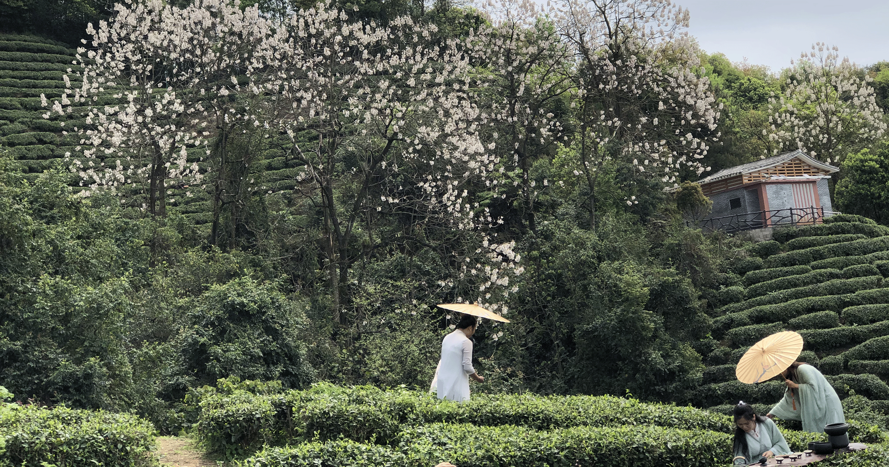 image15 