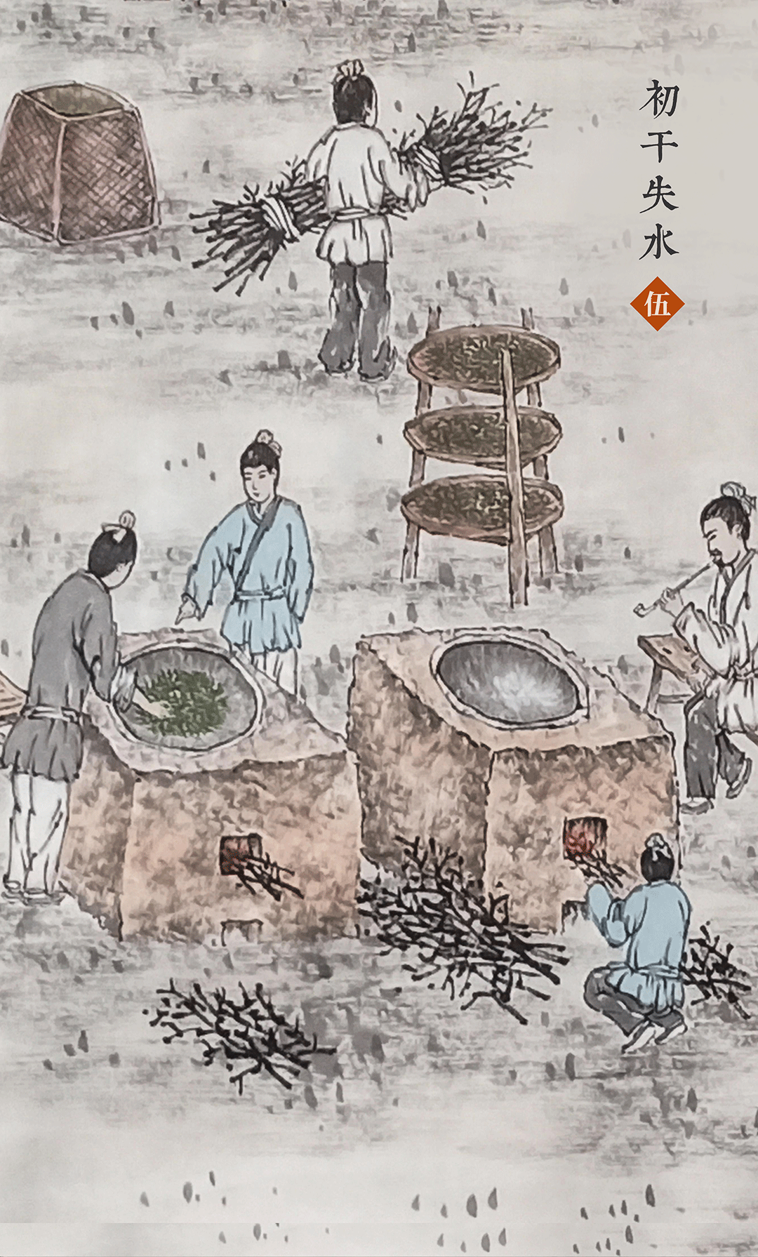 制茶工序5初干失水