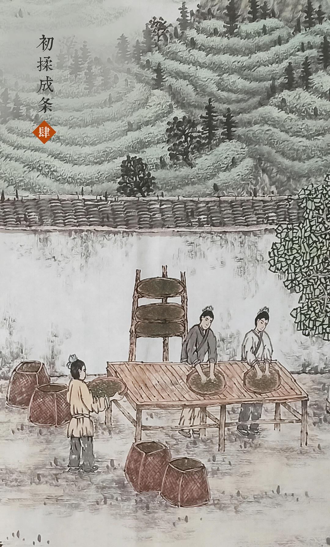 制茶工序4初揉成条